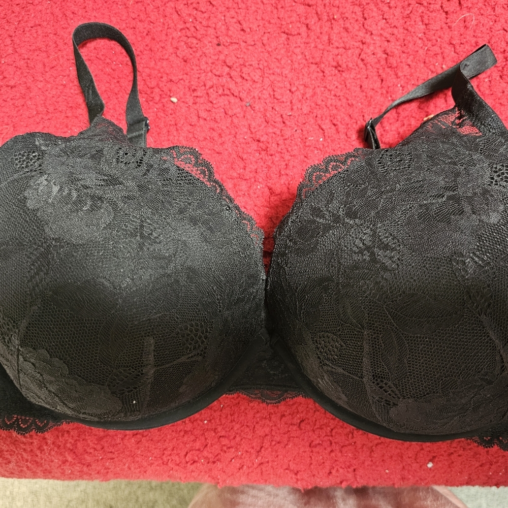 Torrid bra